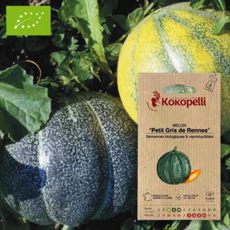 Melon Petit Gris de Rennes