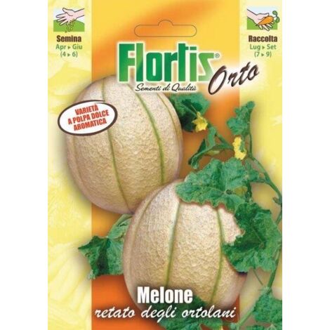MELONE RETATO