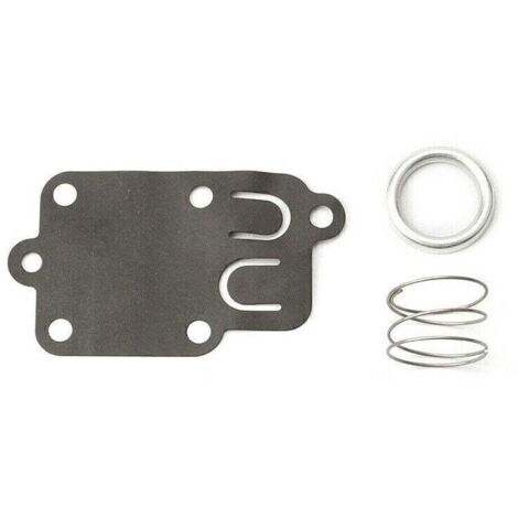 Membrana del carburatore Briggs & Stratton