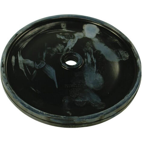 Membrane ANNOVI REVERBERI 650082
