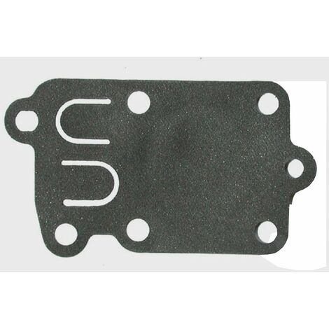 Membrane BRIGGS ET STRATTON 272538S