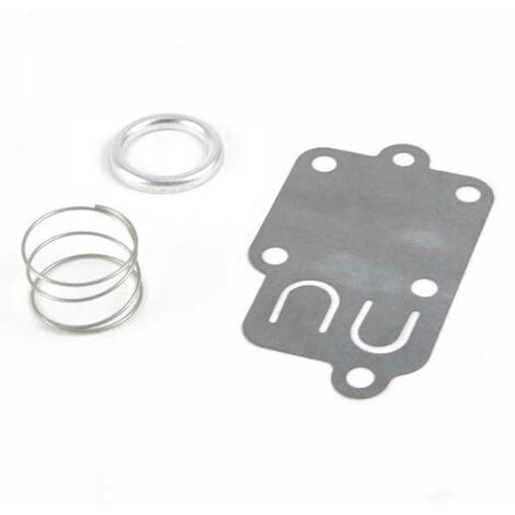 Membrane carburateur joint pour Briggs & Stratton 270026