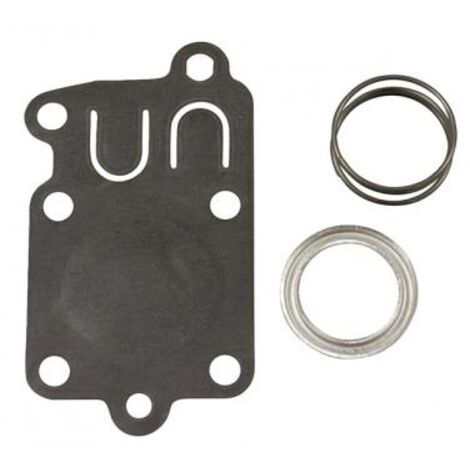Membrane de carburateur compatible moteur BRIIGS&STRATTON 005021 005021B
