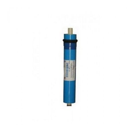 Membrane en polyamide O.I. FCS - ATH Options : 75 gallons par jour