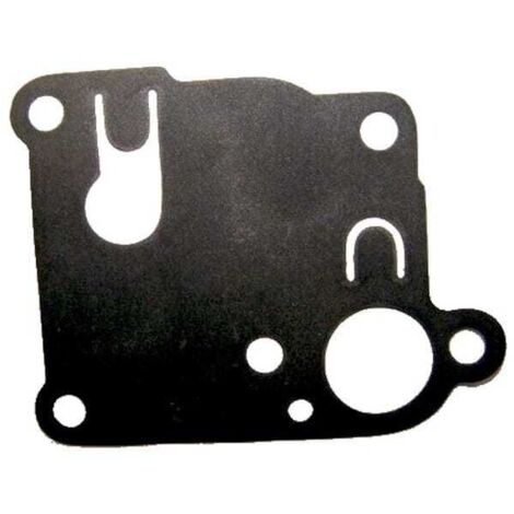 Membrane pompe BRIGGS ET STRATTON 270253