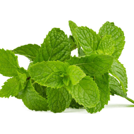 Menthe poivrée