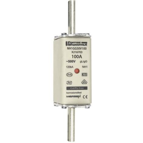 Mersen 1B163.000000 Fusibile NH Misura fusibile = 1 100 A 500 V 1 pz.