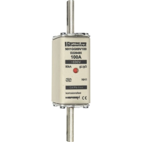 Mersen NH-Sicherungseinsatz SF Gr.1 gG 100A/690V KM NH1GG69V100