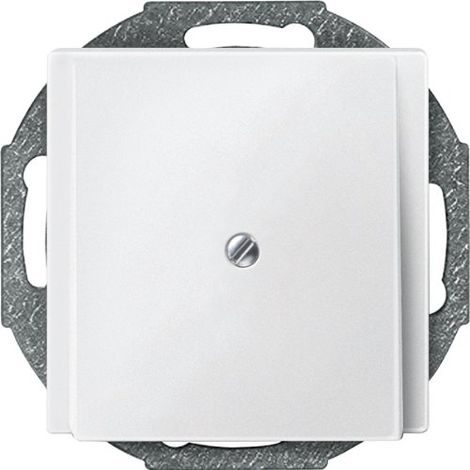 MERTEN 295619 ZENTRALPLATTE LEITUNGSAUSLASS, POLARWEIß, SYSTEM M