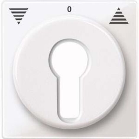 MERTEN 319419 ANATOMIQUE DE PLAQUE CENTRALE POUR VOLET ROULANT-INSERTS RAST INTERRUPTEUR SYSTEM M, BLANC POLAIRE BRILLANT