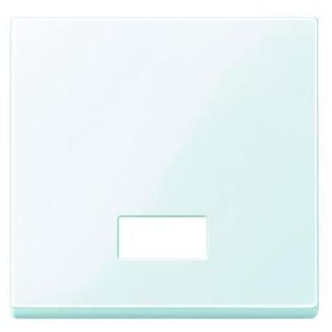Merten Kontroll-Wippe System M, aktivweiß, 432825 Merten