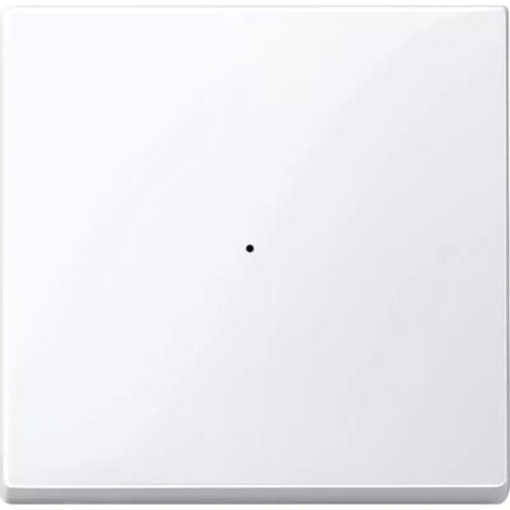 Merten Wippe 619125 aktivweiss glaenzend System M