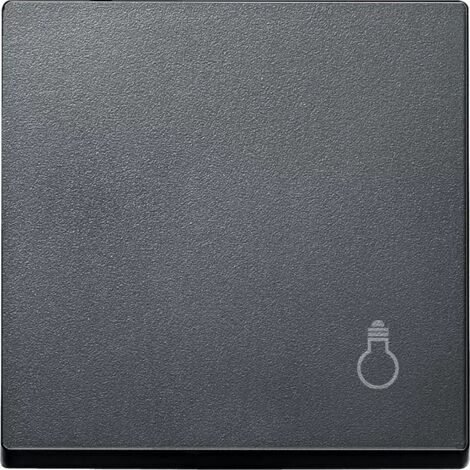 Merten Wippe MEG3302-0414 anthrazit System M