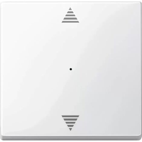 Merten Wippe pws/gl für Tastermodul 1f. 619419