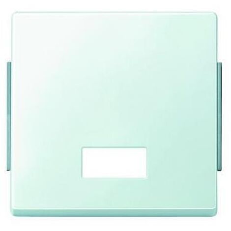 Merten Wippe Symbol Fenster pws rechteckig 343819