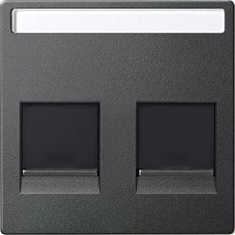 Merten Zentralplatte für Modular Jack 2fach mit Schriftfeld und Staubschutzschieber, anthrazit, System M MEG4564-0414