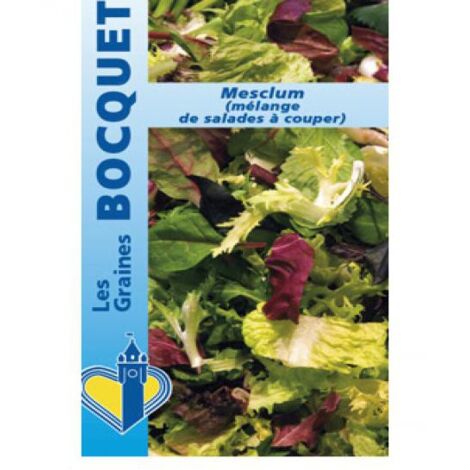 Mesclun le sachet de 3000 graines (4g)