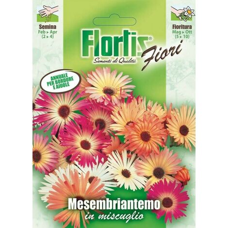 Miscela di semi perenni di fiori selvatici Un sacco di fiori belli e  colorati Mix di fiori tutto in uno di alta qualità -  Italia