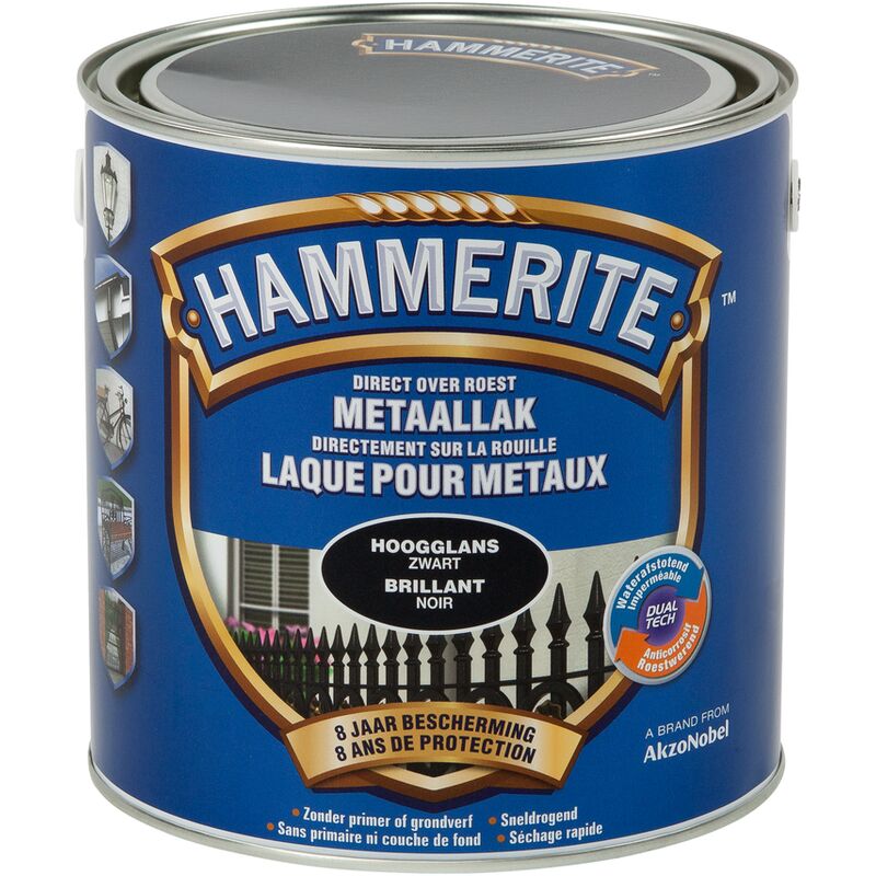 

Metal lacado brillante 2,5L Negro - Noir