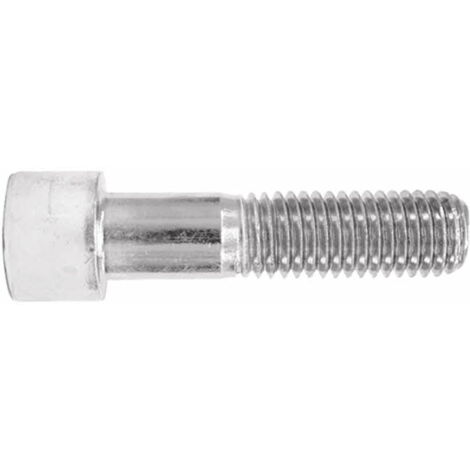 Metrisches Visier mit Innensechskantkopf - Verzinkt M8 x 50 - Packung mit 100