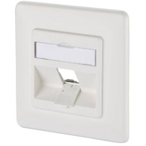 Metz Connect 130B20D11002KE Prise réseau encastré insert avec plaque centrale et châssis non équipé 1 port blanc pur (RAL 9010) C151501