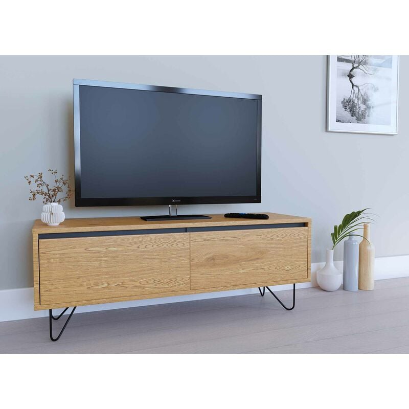 Meuble TV avec 1 tiroir 1 porte DARINA en bois