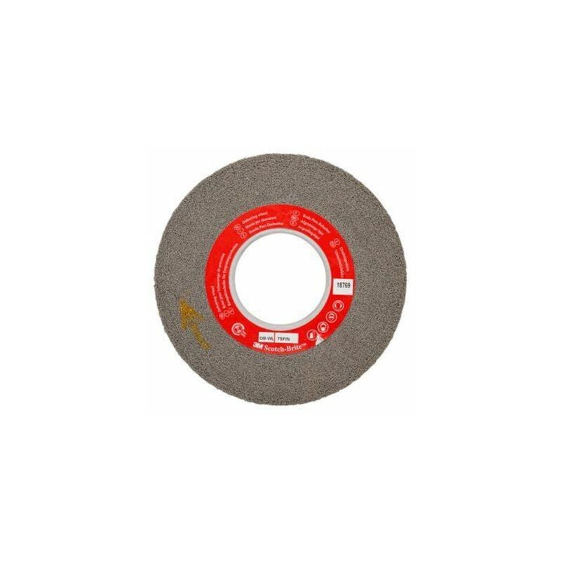 Meule abrasive, Dia. 76.2mm x 25.4mm 3M Carbure de Silicium ( Prix pour 1 )
