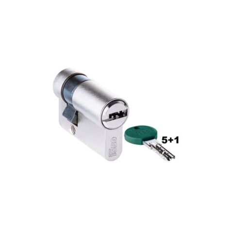MEZZO CILINDRO EUROPEO DOPPIO PROFILO R700 82R70- - mm.40 (30x10) (82R7030109C.H526) - 1 pezzi ISEO