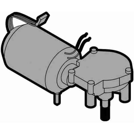 MGDC00800 Motorreductor Motor Eléctrico Dc 24V Mot. D36 HYKE Repuesto NICE MGDC00800