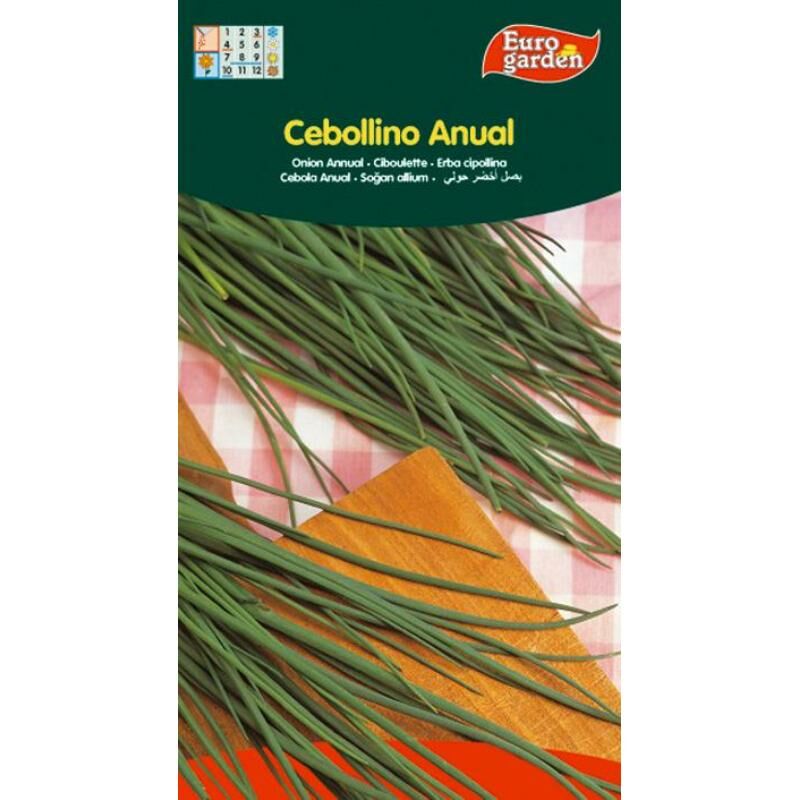 

semillas fito aromaticas cebollino anual 03084 (caja 10 unidades) - Mibricotienda