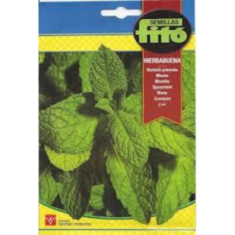 

semillas fito aromaticas hierbabuena 06234 (caja 10 unidades) - Mibricotienda