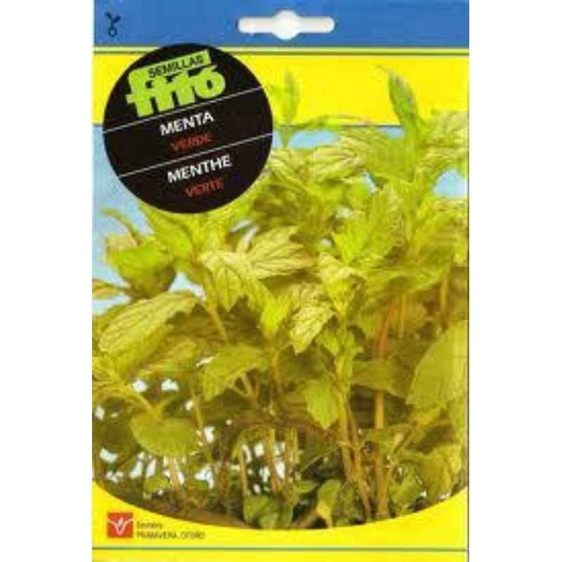 

semillas fito aromaticas menta verde 00653 (caja 10 unidades) - Mibricotienda