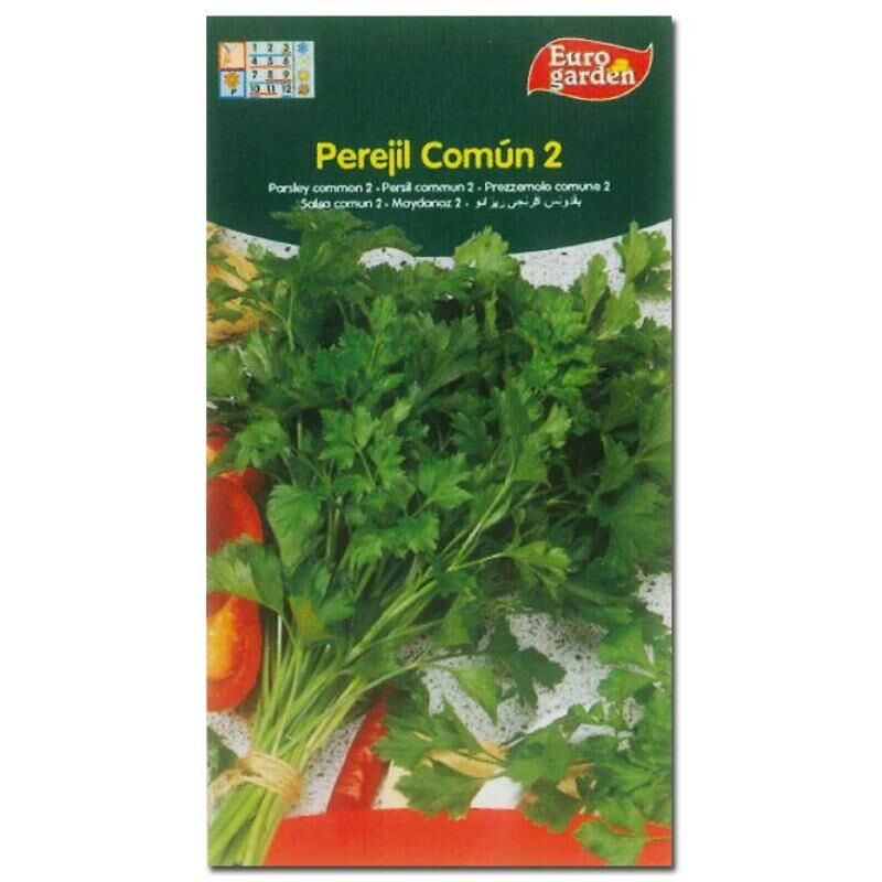 

semillas fito aromaticas perejil comun 2 de hoja lisa 00246 (caja 10 unidades) - Mibricotienda