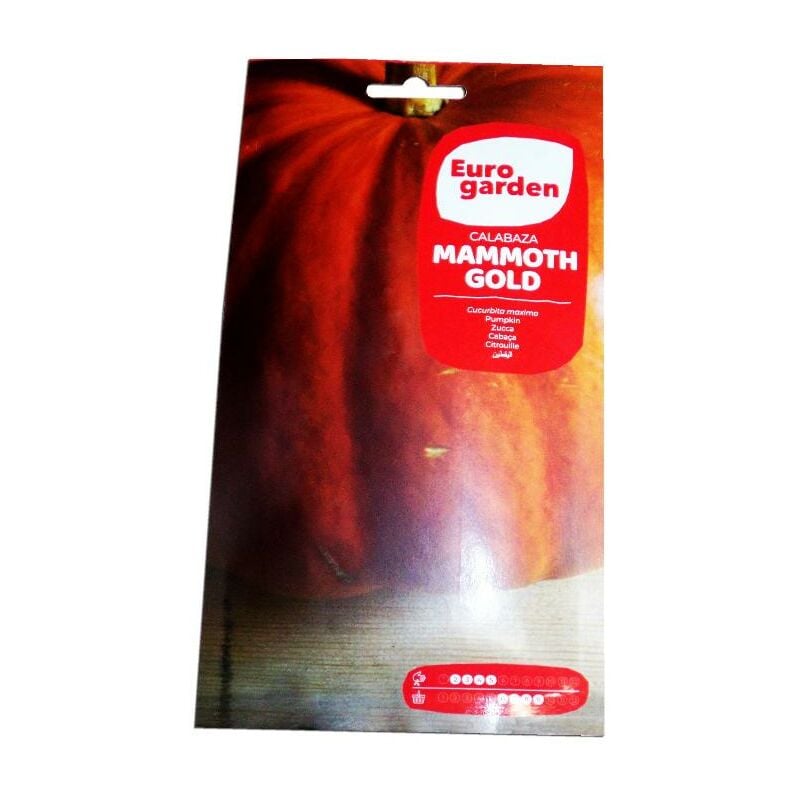 

semillas fito calabaza mammoth gold 5 gr 09996 - Mibricotienda