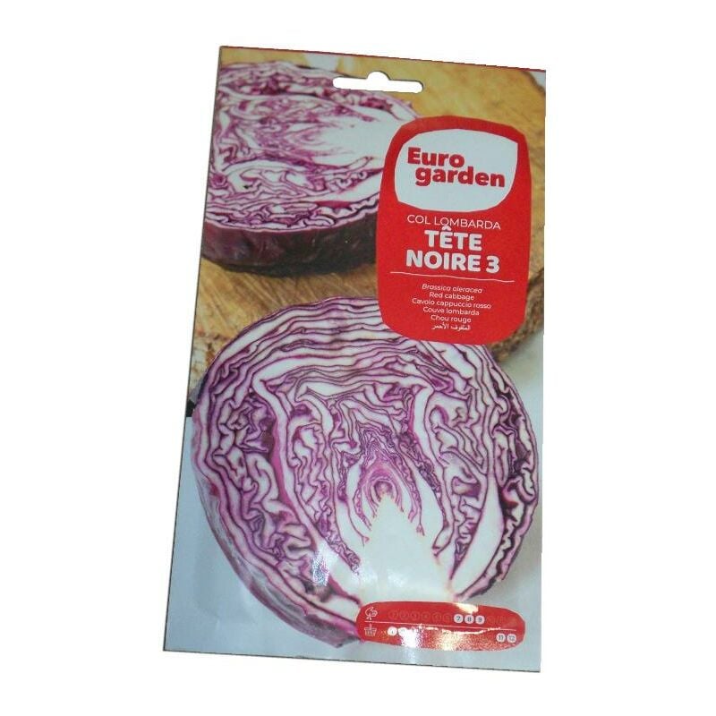 

semillas fito col lombarda tete noire 3 6 gr 00067 - Mibricotienda