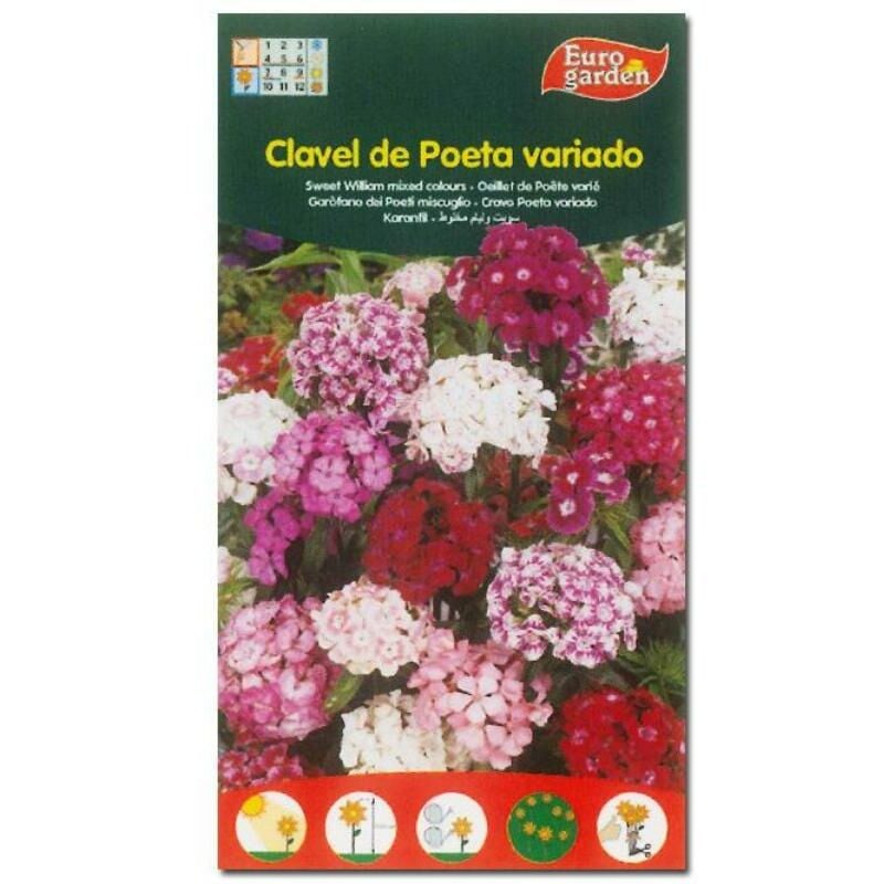 

semillas fito flores clavel de poeta variado 00544 (caja 10 unidades) - Mibricotienda