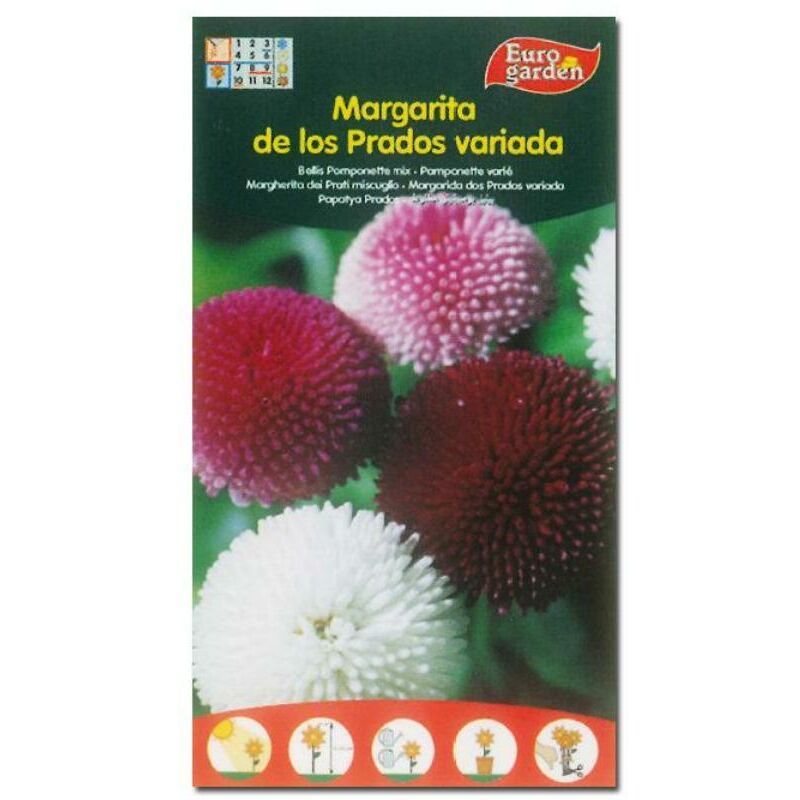 

semillas fito flores margarita de los prados variada 00574 (caja 10 unidades) - Mibricotienda