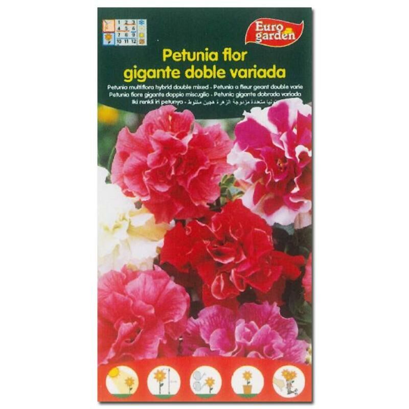 

semillas fito flores petunia flor gigante doble variada 00633 (caja 10 unidades) - Mibricotienda