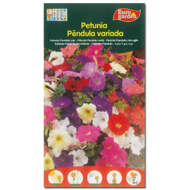 

semillas fito flores petunia pendula variada 00677 (caja 10 unidades) - Mibricotienda