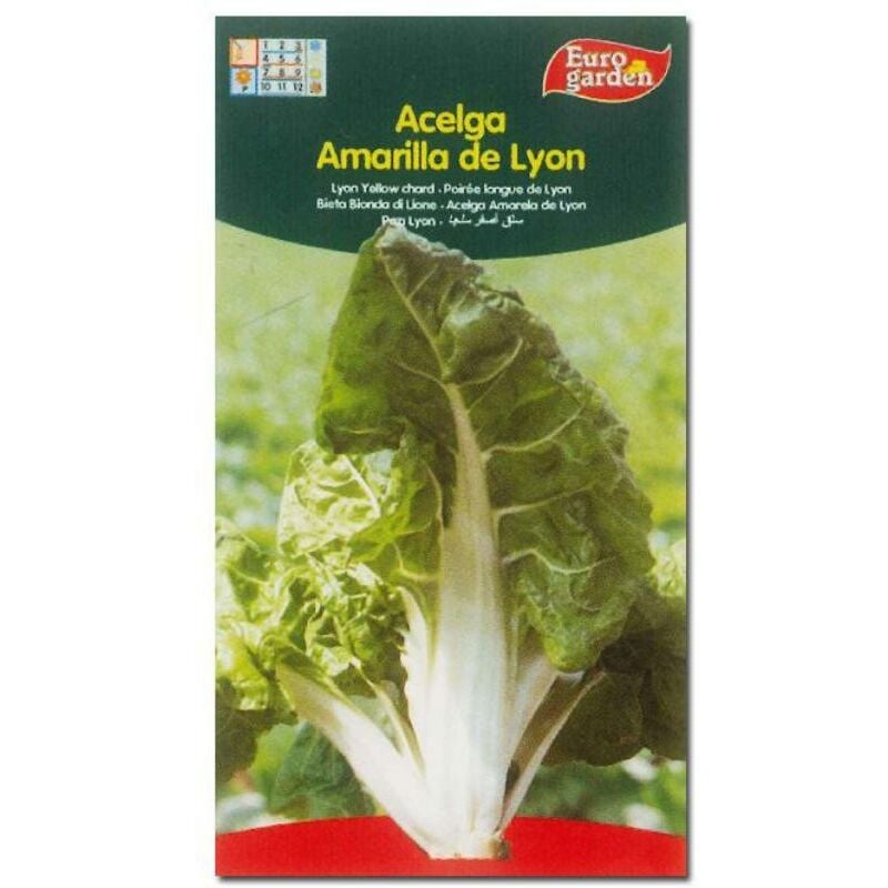 

semillas fito horticolas acelga amarilla de lyon 00002 (caja 10 unidades) - Mibricotienda