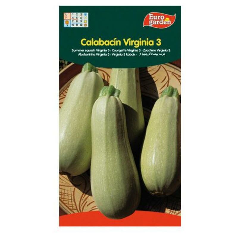 

semillas fito horticolas calabacin virginia 3 00029 (caja 10 unidades) - Mibricotienda