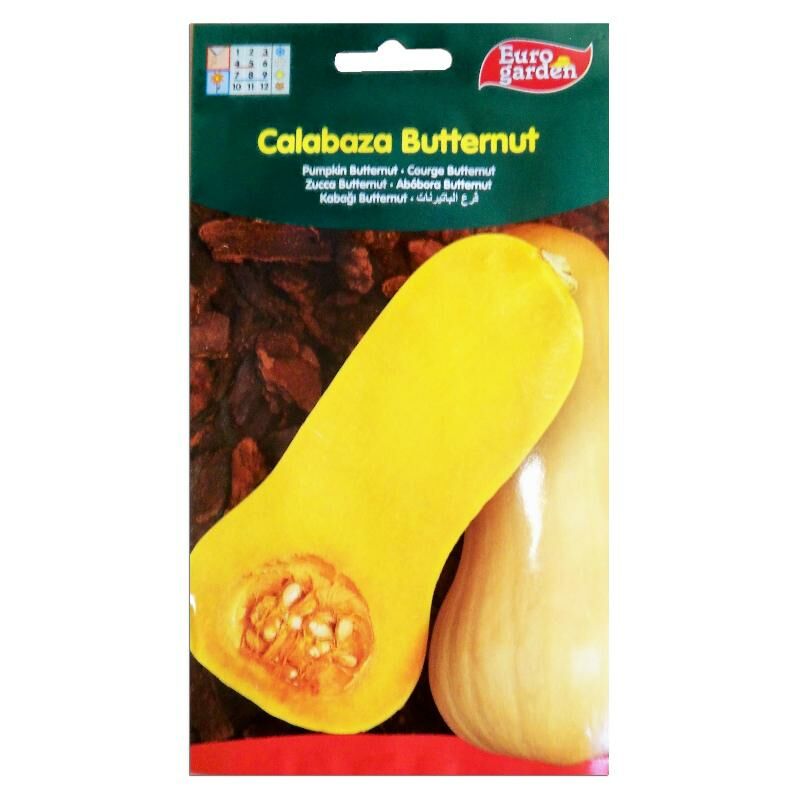 

semillas fito horticolas calabaza butternut 06428 (caja 10 unidades) - Mibricotienda