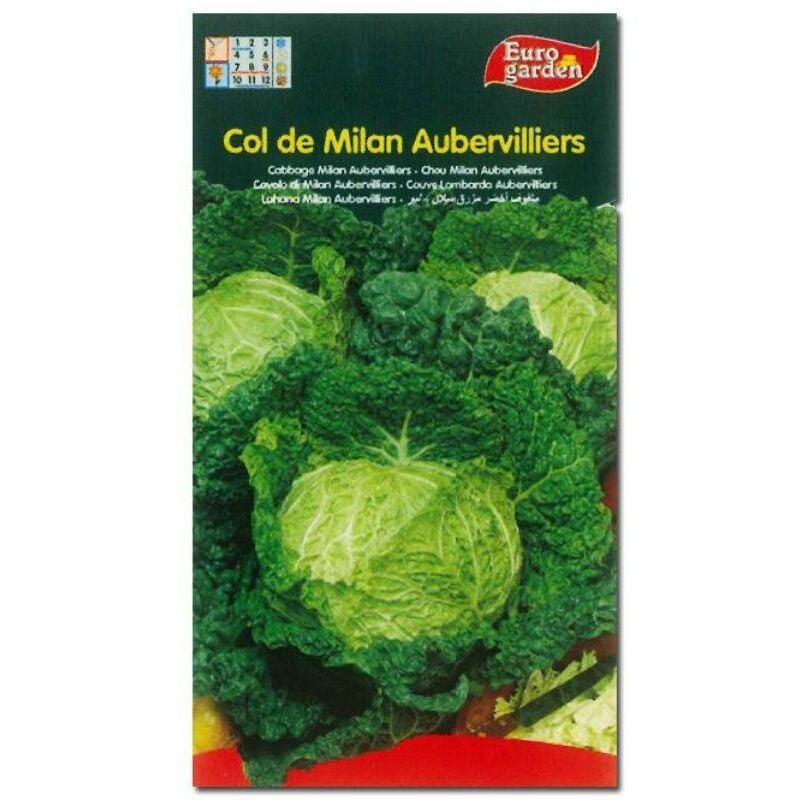 

semillas fito horticolas col milan audervilliers 00059 (caja 10 unidades) - Mibricotienda