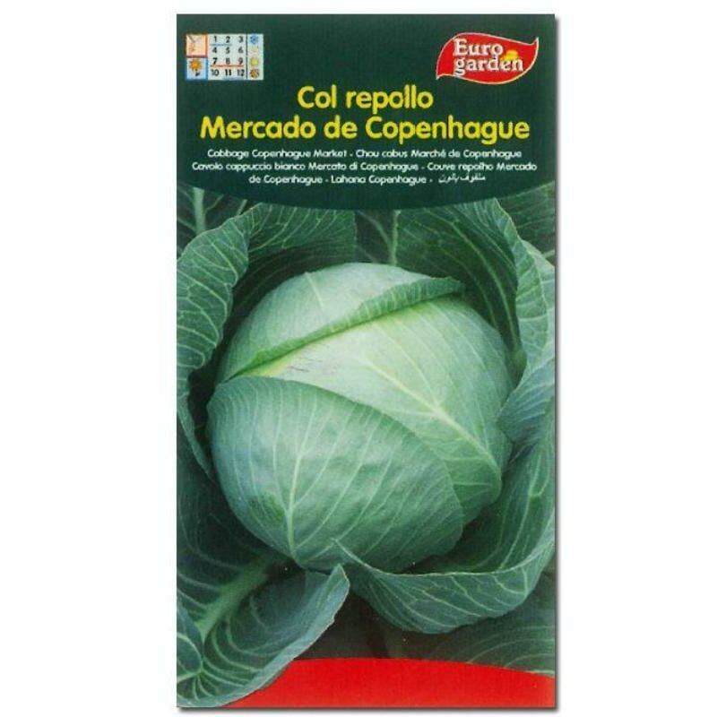 

semillas fito horticolas col repollo mercado de copenhague 04556 (caja 10 unidades) - Mibricotienda