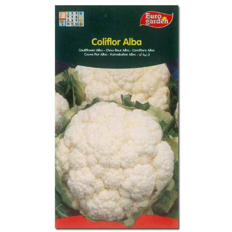 

semillas fito horticolas coliflor alba 00087 (caja 10 unidades) - Mibricotienda