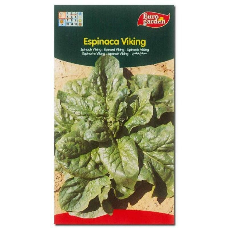 

semillas fito horticolas espinaca viking 00115 (caja 10 unidades) - Mibricotienda