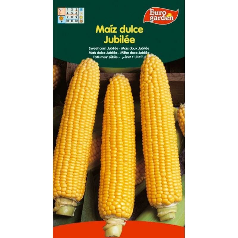 

semillas fito horticolas maiz dulce 03131 (caja 10 unidades) - Mibricotienda