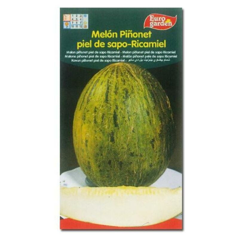 

semillas fito horticolas melon ricamielpiñonet piel sapo 00217 (caja 10 unidades) - Mibricotienda