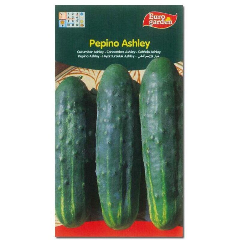 

semillas fito horticolas pepino ashley 00234 (caja 10 unidades) - Mibricotienda