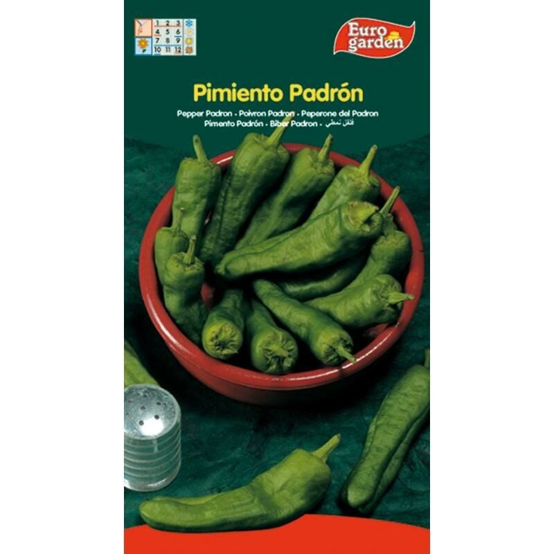 

MIBRICOTIENDA semillas fito horticolas pimiento de padron 05174 (caja 10 unidades)